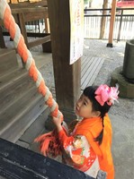 20181124114114_p.jpg