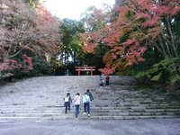 20181130092731_p.jpg