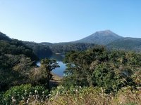 20181130102335_p.jpg