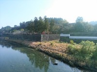 20181130113243_p.jpg