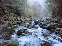 20181130170733_p.jpg