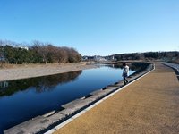 20190101143547_p.jpg