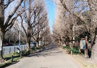 20190127113323_p.jpg