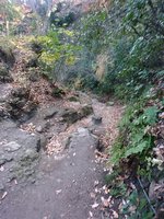 20181230104011_p.jpg