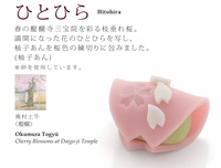 山種美術館和菓子.jpeg