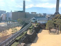 IMG_20250302_131140.jpg