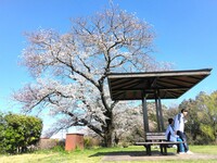 IMG_20250404_133842.jpg